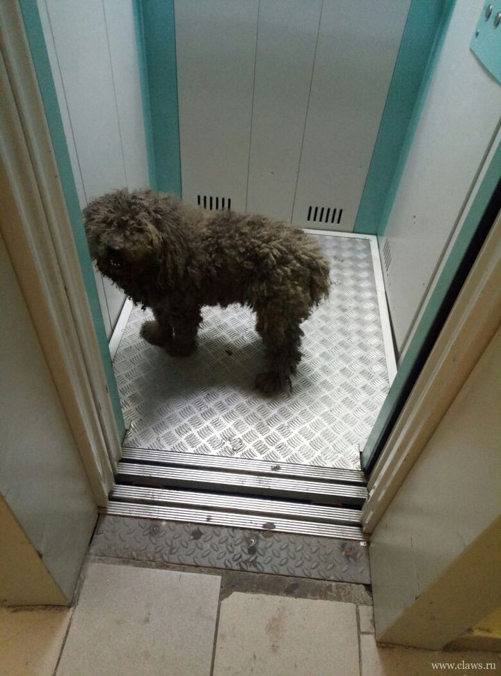 Фото не найдено