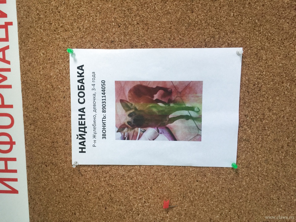 Фото не найдено