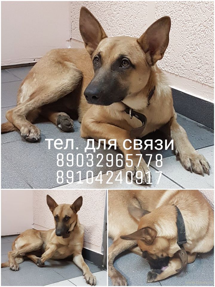 Фото не найдено