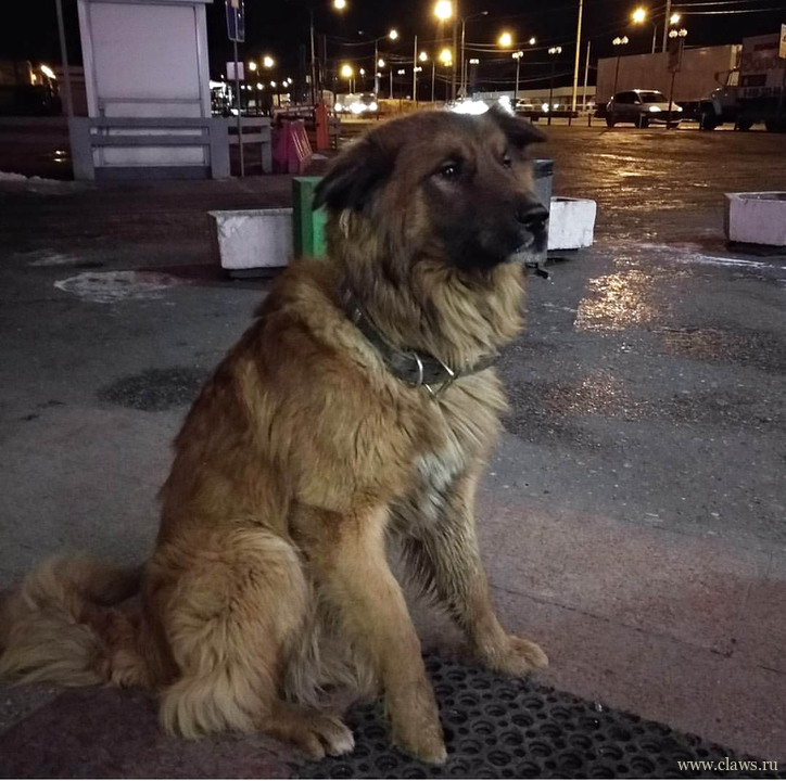 Фото не найдено