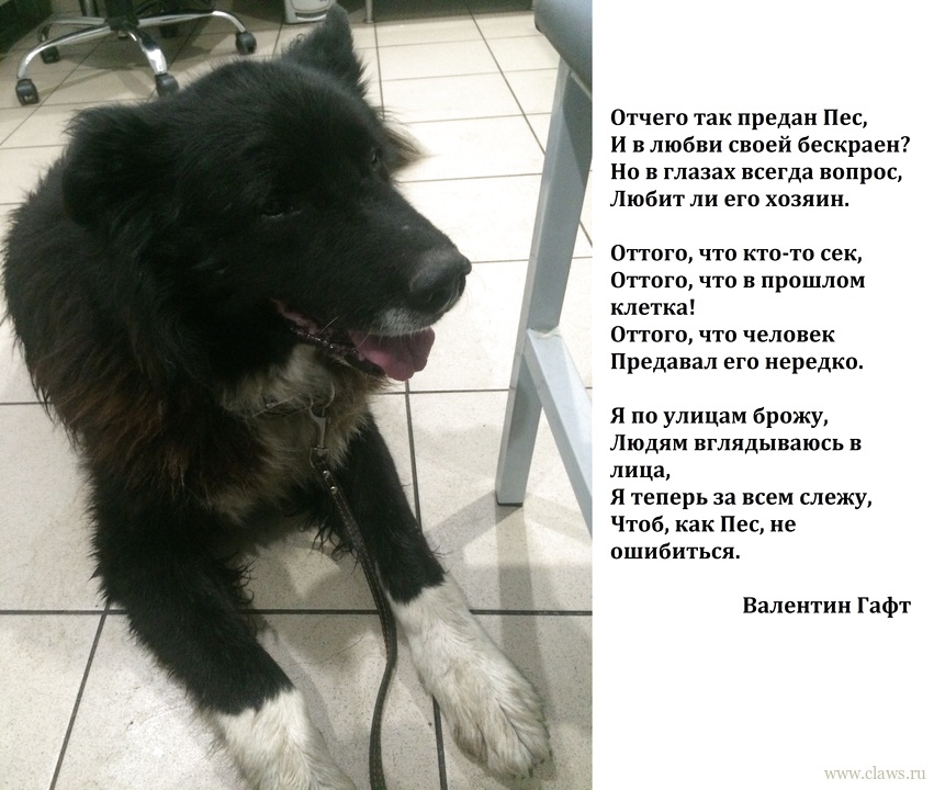 Фото не найдено