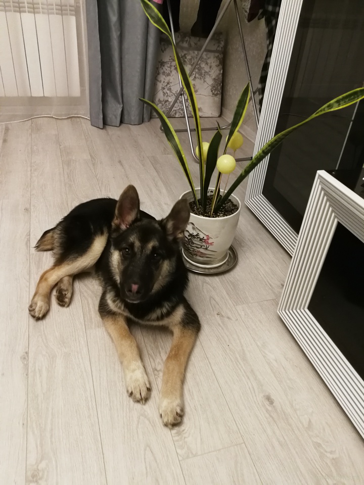 Фото не найдено
