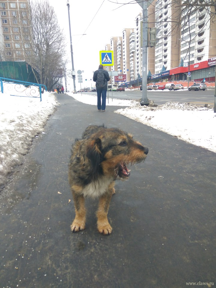 Фото не найдено