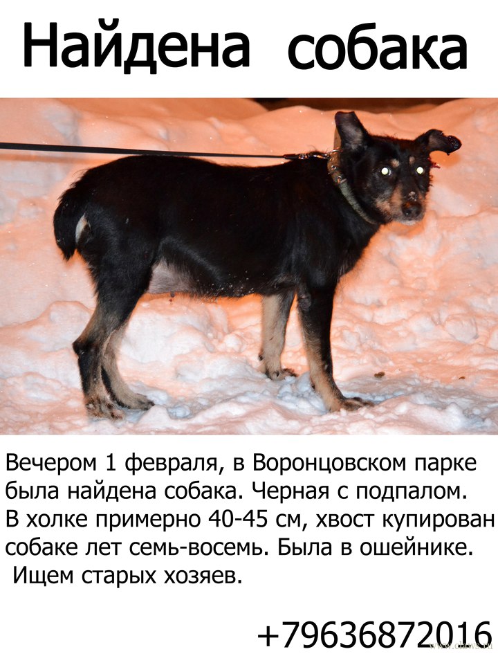 Фото не найдено