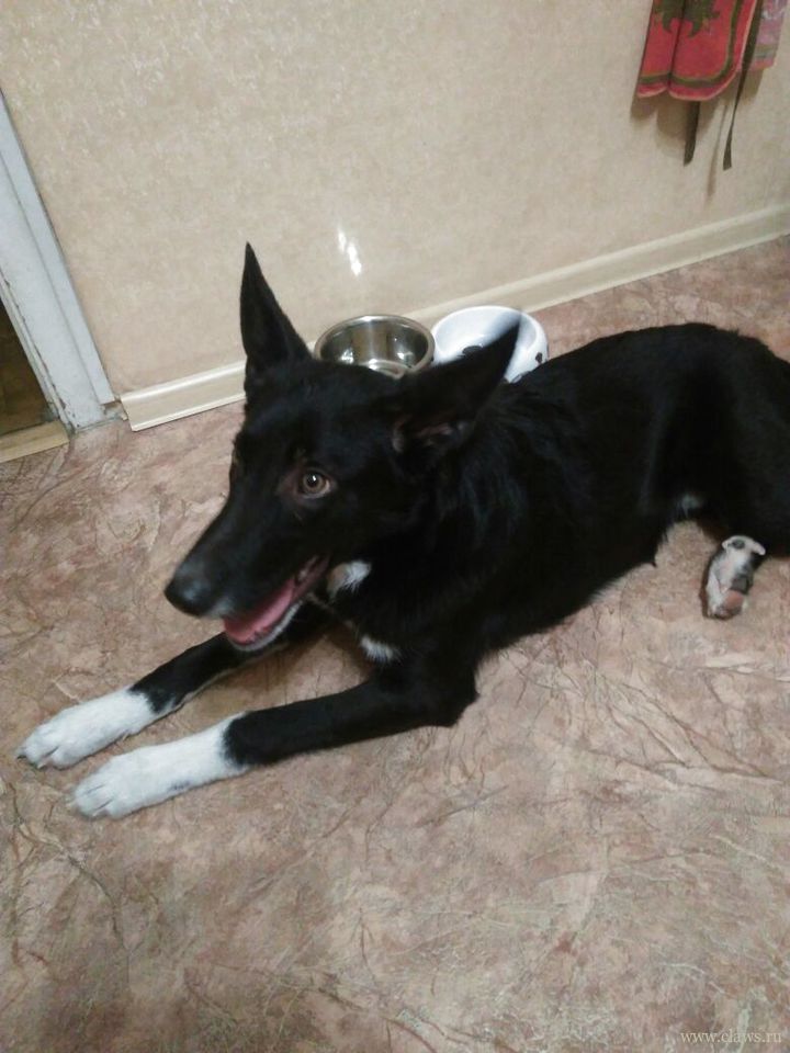Фото не найдено
