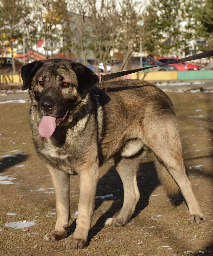 Фото не найдено