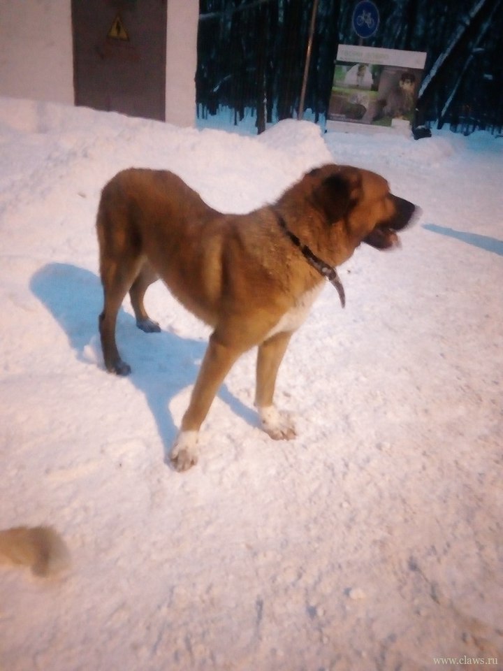 Фото не найдено