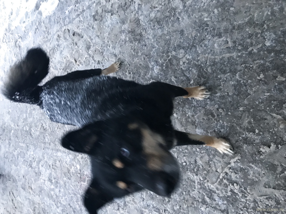 Фото не найдено