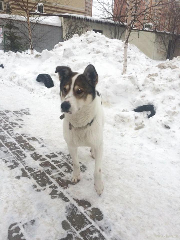 Фото не найдено