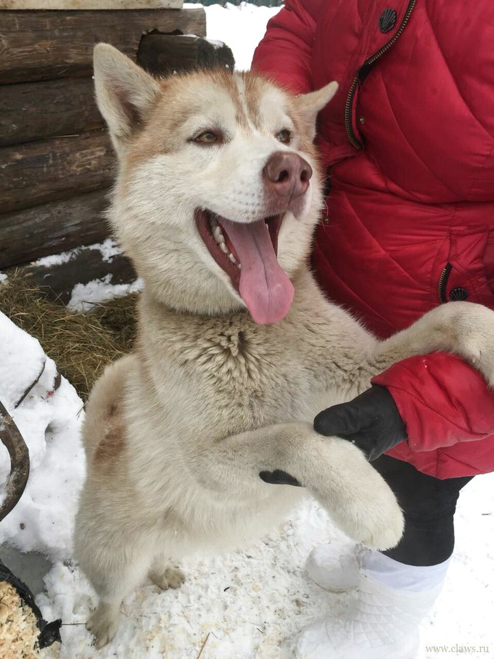 Фото не найдено