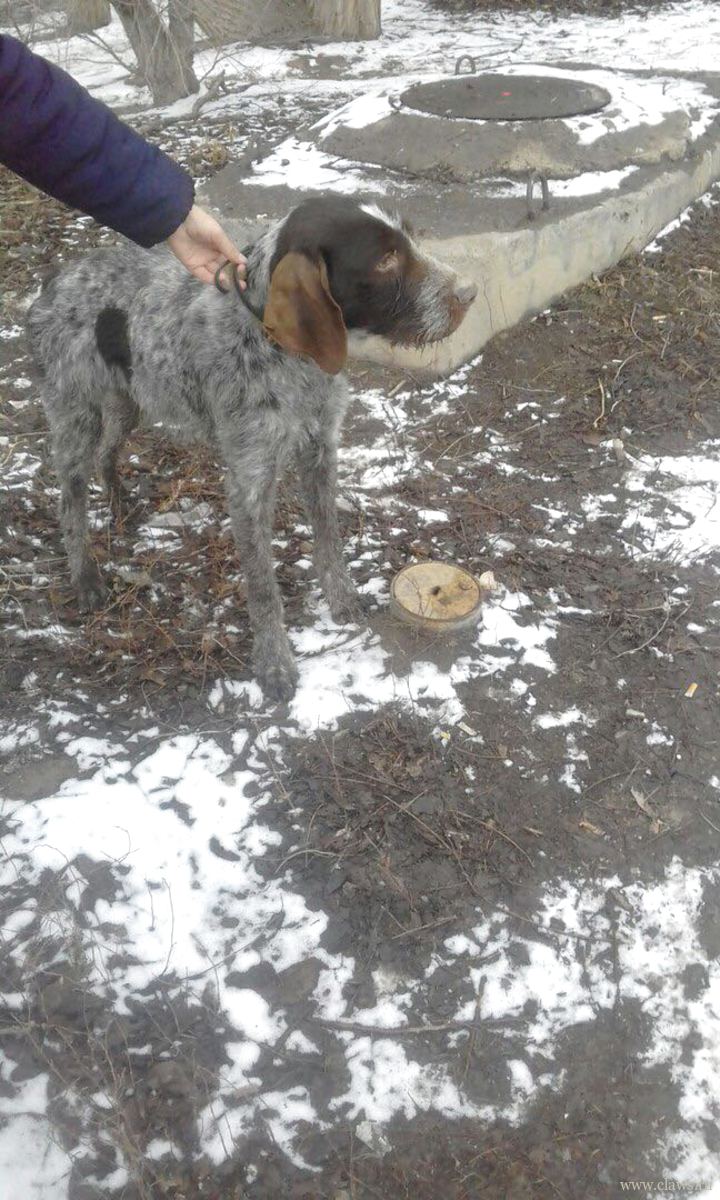 Фото не найдено