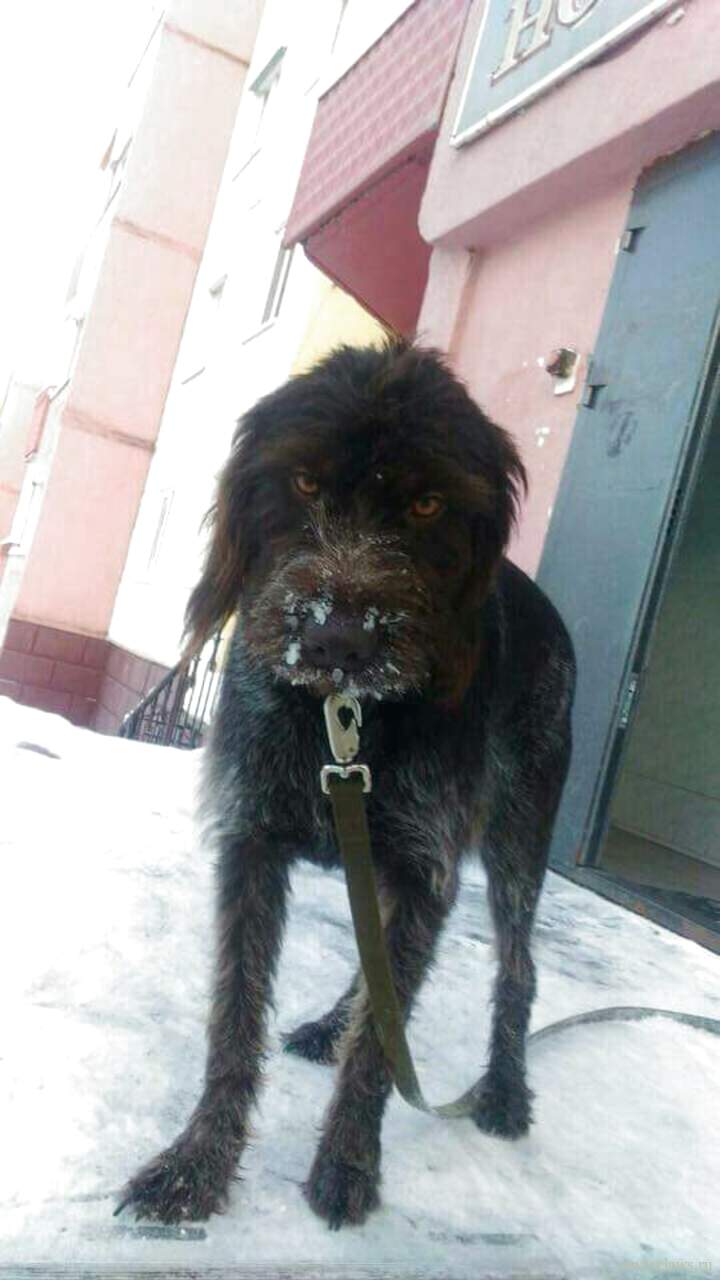 Фото не найдено