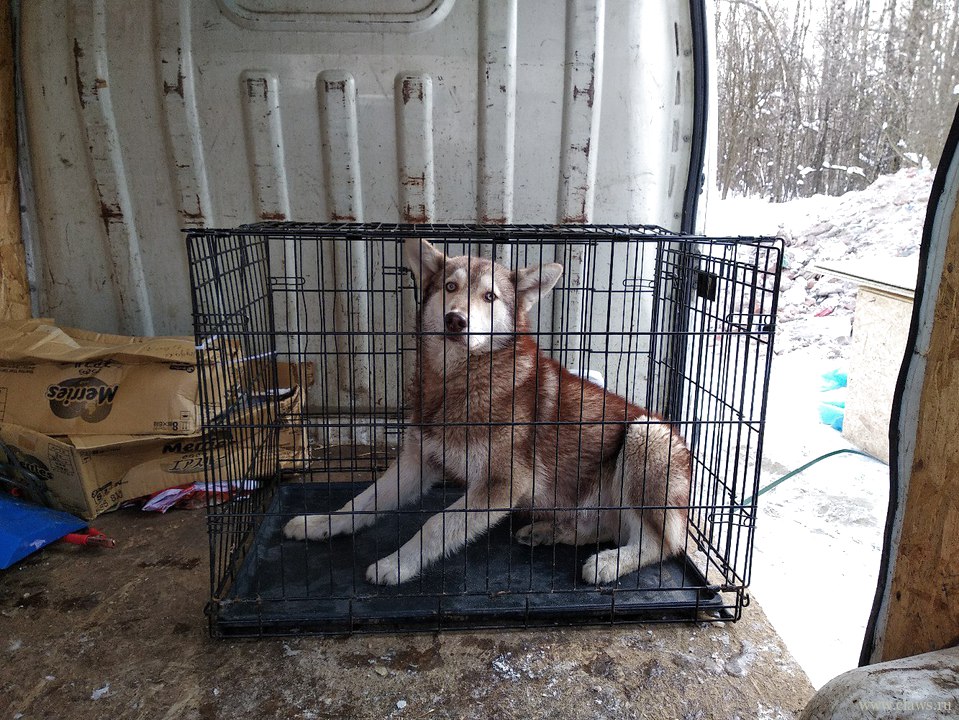 Фото не найдено