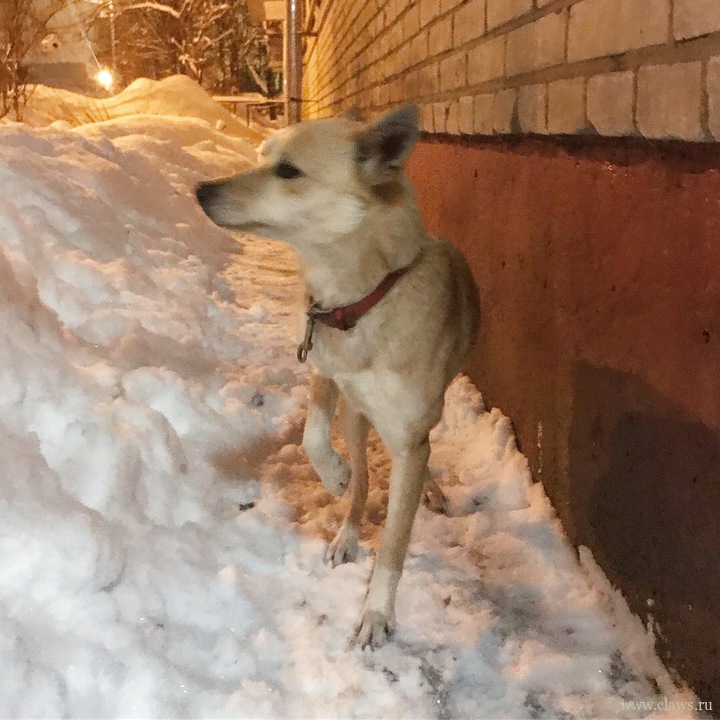 Фото не найдено