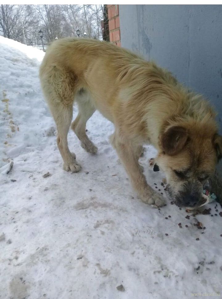 Фото не найдено