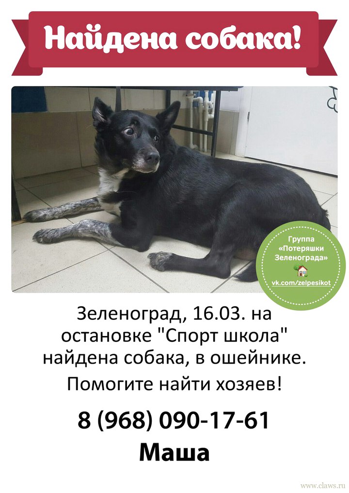 Фото не найдено