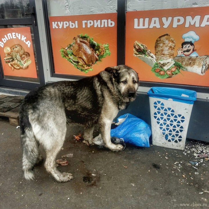 Фото не найдено