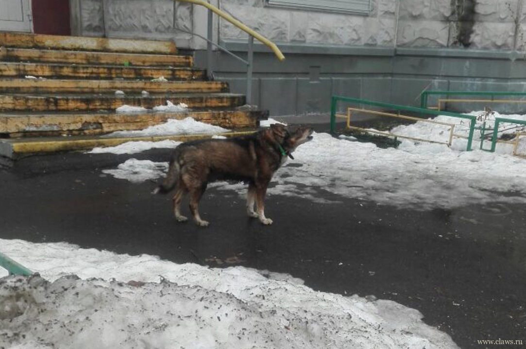 Фото не найдено
