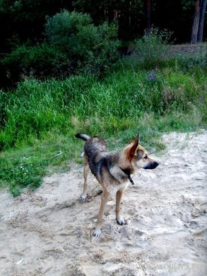 Фото не найдено