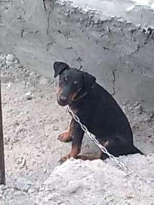 Фото не найдено