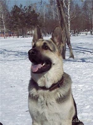 Фото не найдено