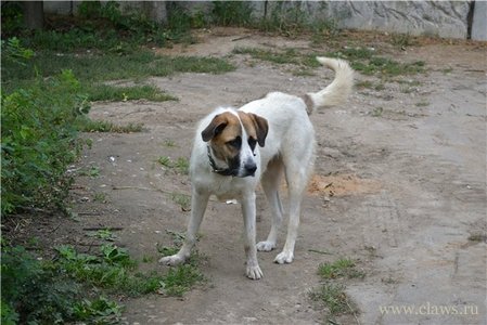 Фото не найдено