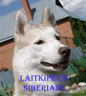 Фото не найдено