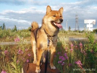 Фото не найдено