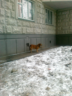 Фото не найдено
