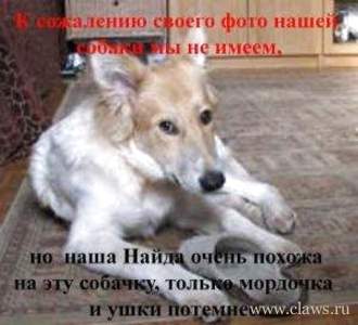 Фото не найдено