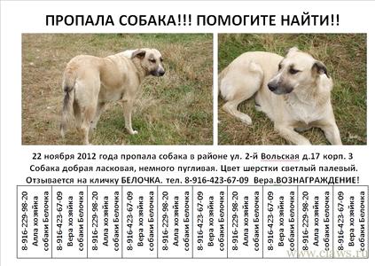 Фото не найдено