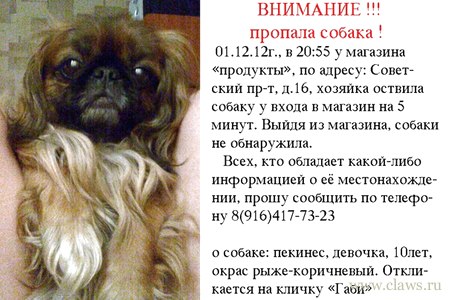 Фото не найдено