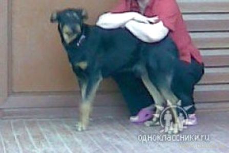 Фото не найдено