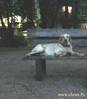 Фото не найдено