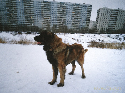 Фото не найдено