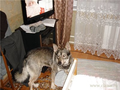 Фото не найдено