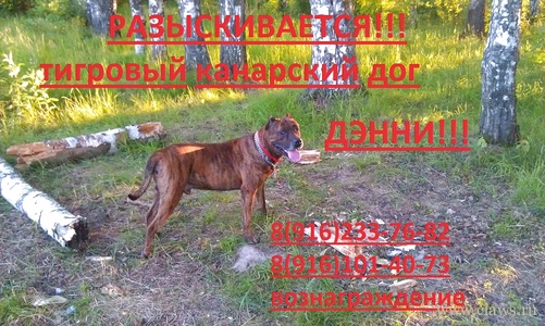 Фото не найдено