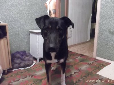 Фото не найдено