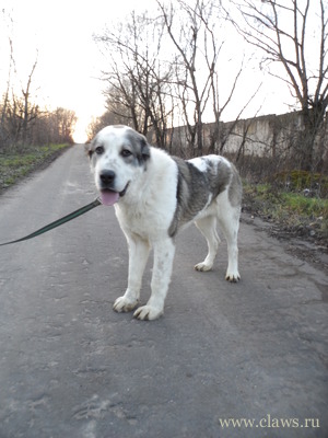 Фото не найдено