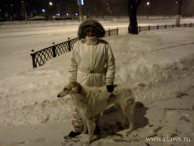 Фото не найдено