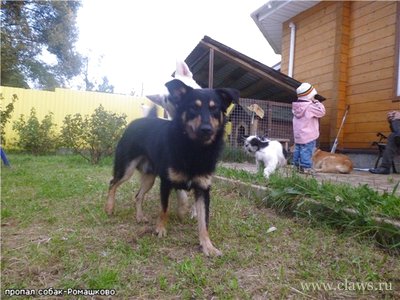 Фото не найдено