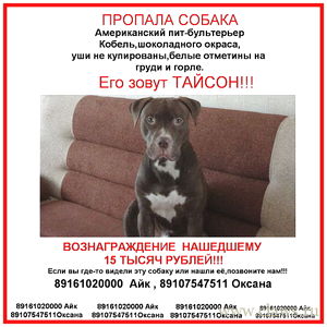 Фото не найдено