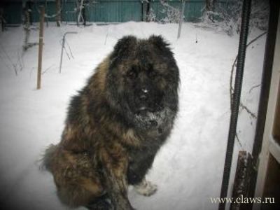 Фото не найдено