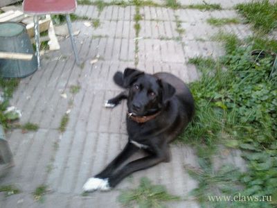 Фото не найдено