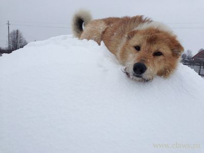 Фото не найдено