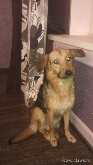 Фото не найдено