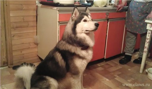 Фото не найдено