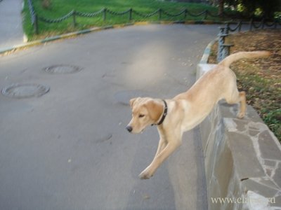 Фото не найдено