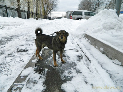 Фото не найдено