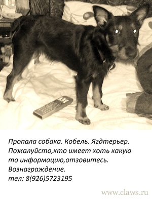 Фото не найдено